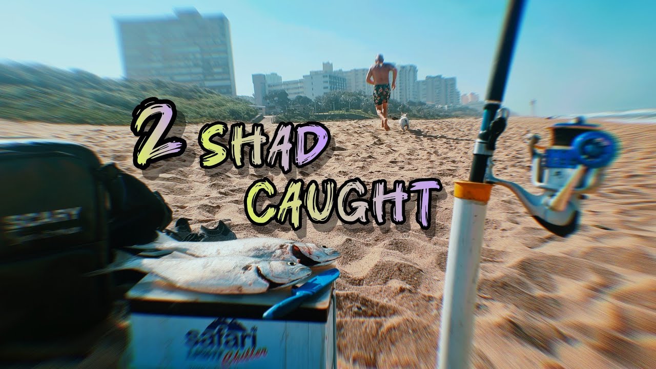 Fishing in Durban View? Here's What REALLY Works!