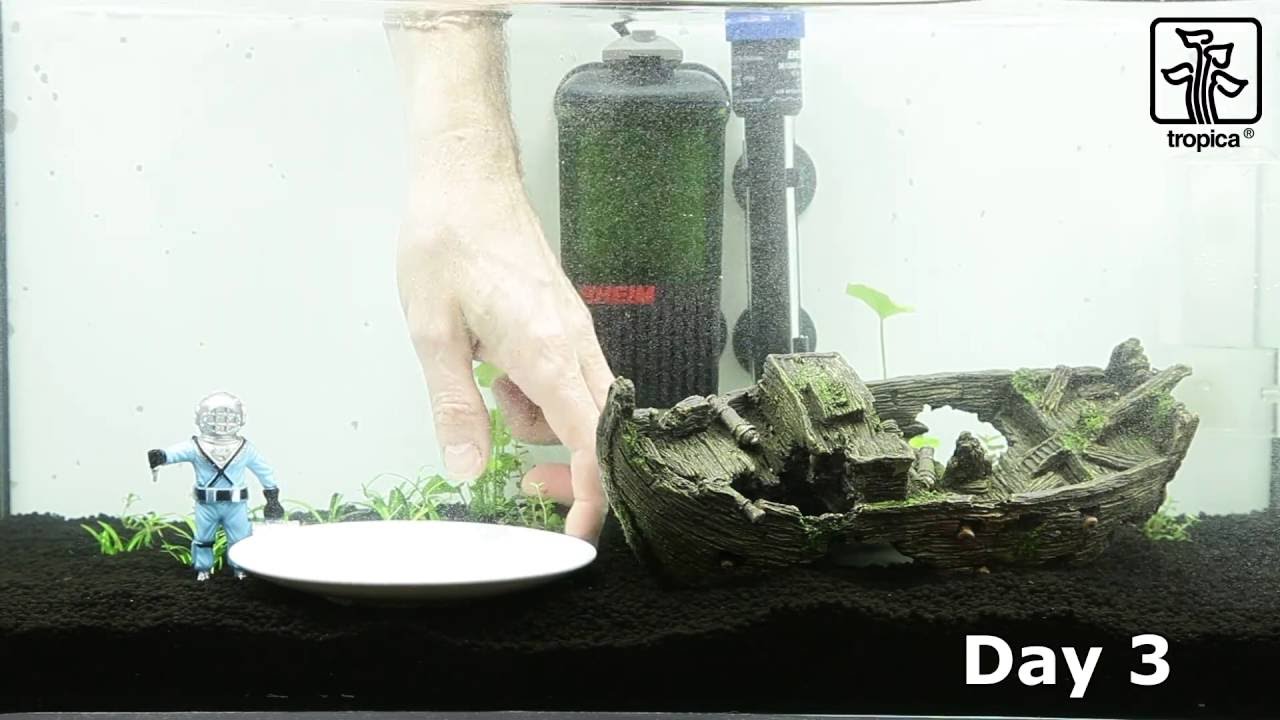 Happy Home by Tropica
