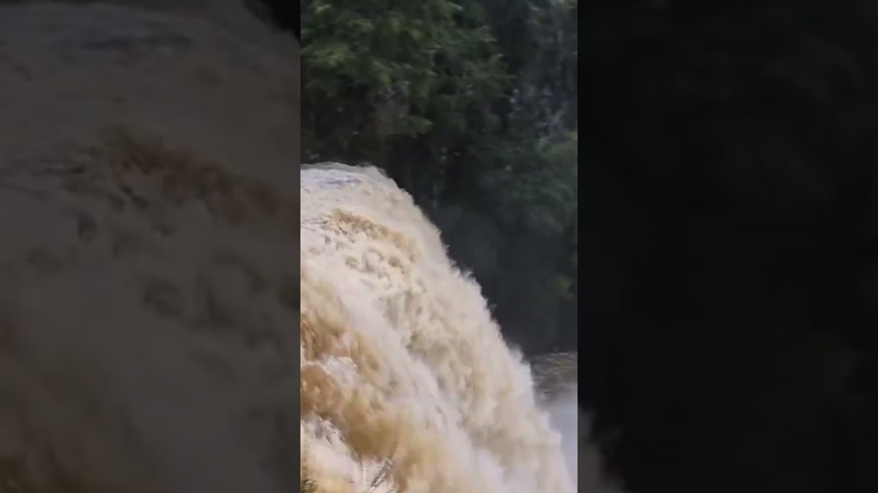 Cyclone Vaianu brings damaging winds, heavy  rain to North Island | RNZ