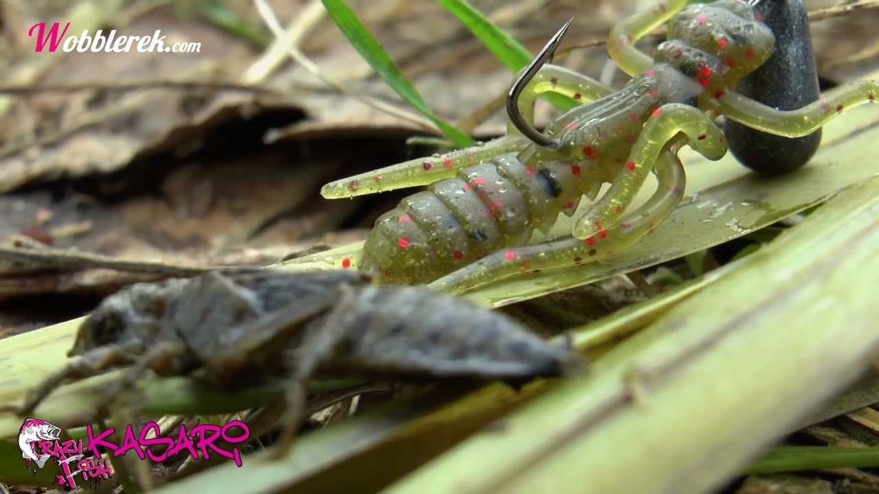 Crazy Fish Kasari plasztik l&aacute;rva - Wobblerek.com (Underwater)