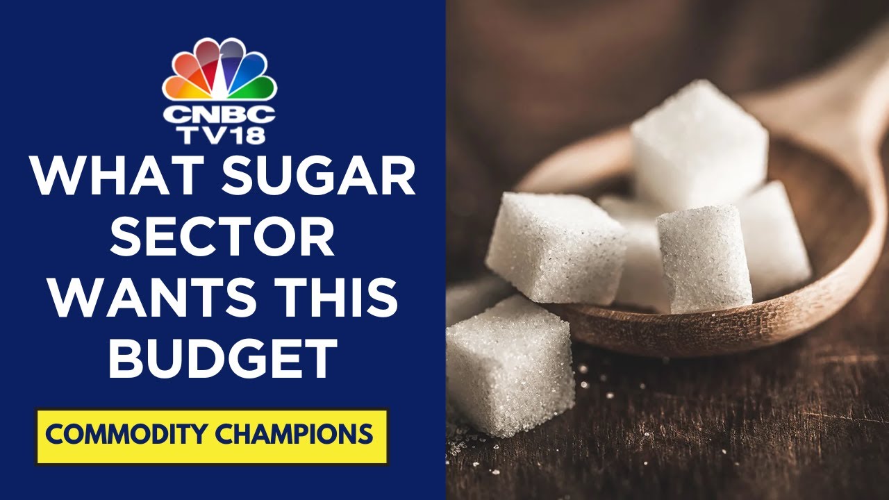Sugar Industry Demands MSP Hike in Budget 2024 | Shree Renuka Sugars Weighs In | CNBC TV18