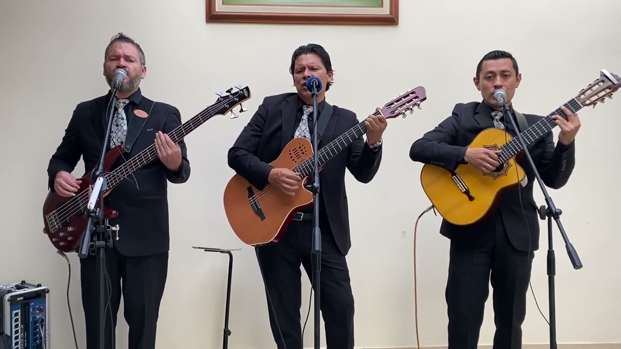 MI CASTA  BAMBUCO LUIS CARLOS GONZALES