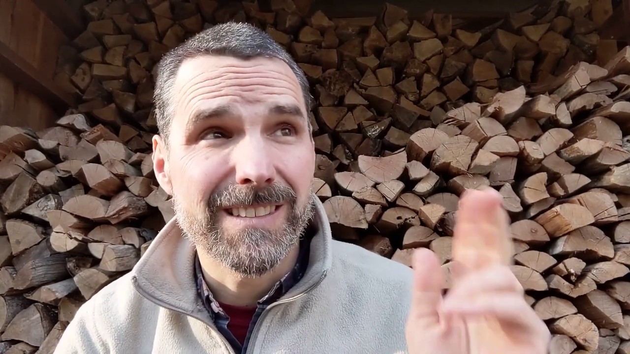 Black-Capped Chickadee - Learn a Bird -  Episode #4