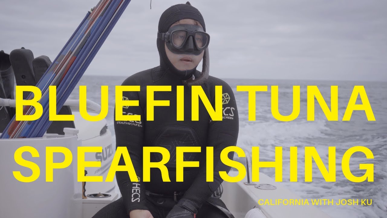 BLUE FIN TUNA SPEARFISHING LOS ANGELES