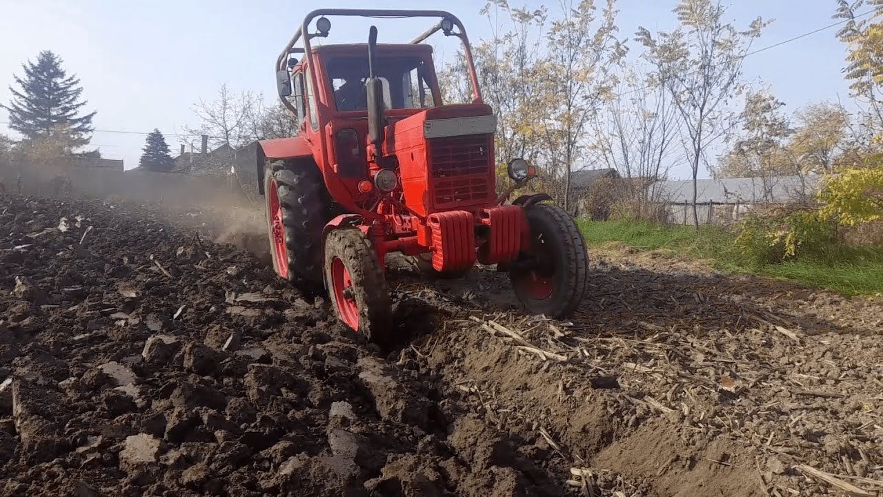 MTZ 50 Szántás 2024 | MTZ 50 kert szántás