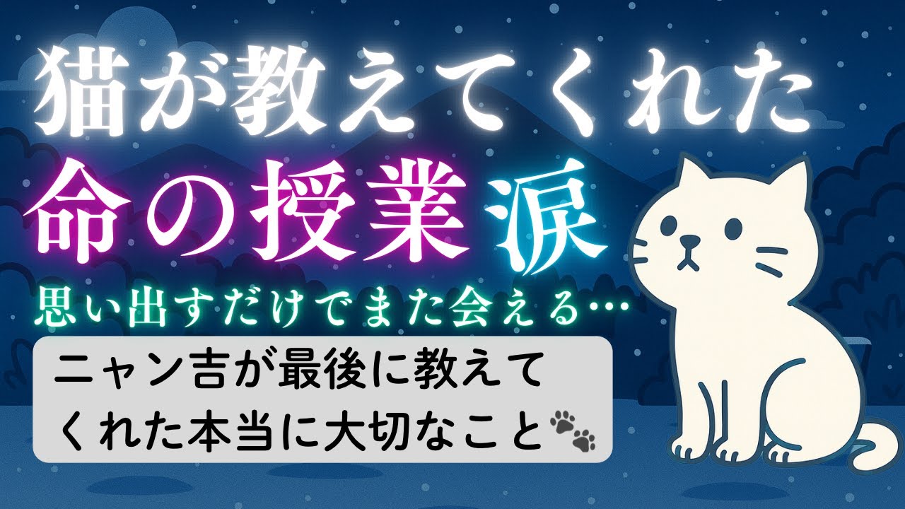 【ニャン吉が最後に教えてくれた】本当に大切なこと〜思い出すだけで何度も会える…