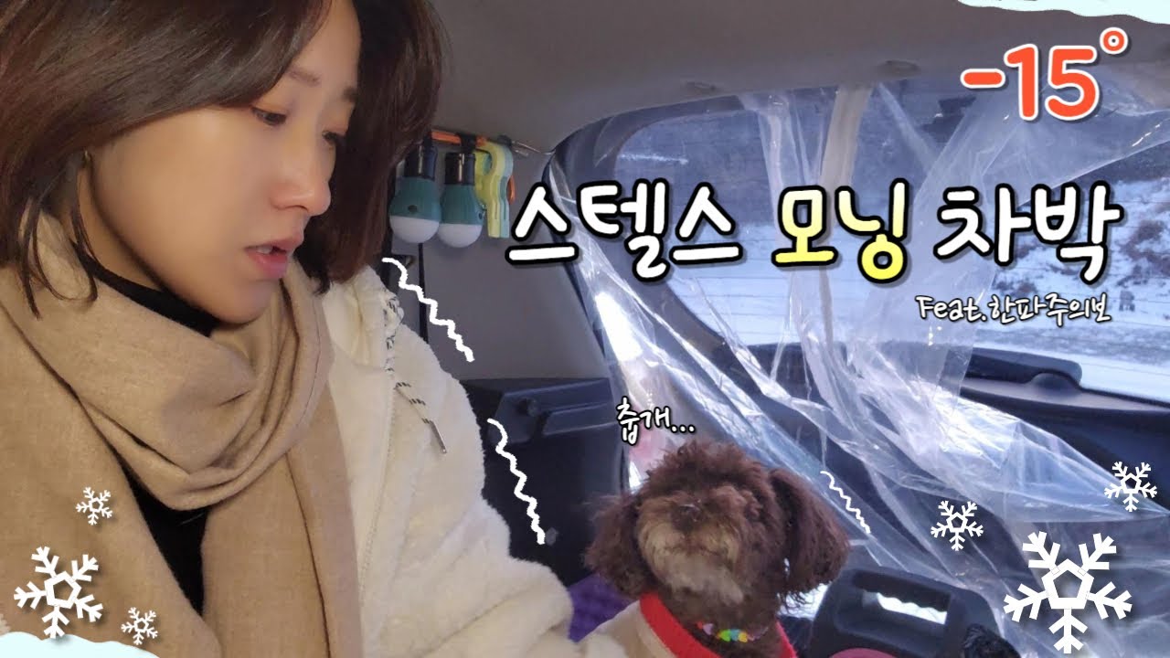 [20]경차모닝차박/한파주의보에 원터치텐트로 동계캠 도전했다가 강제 스텔스차박하고 왔어요🥶/애견동반차박/반합통삼겹살