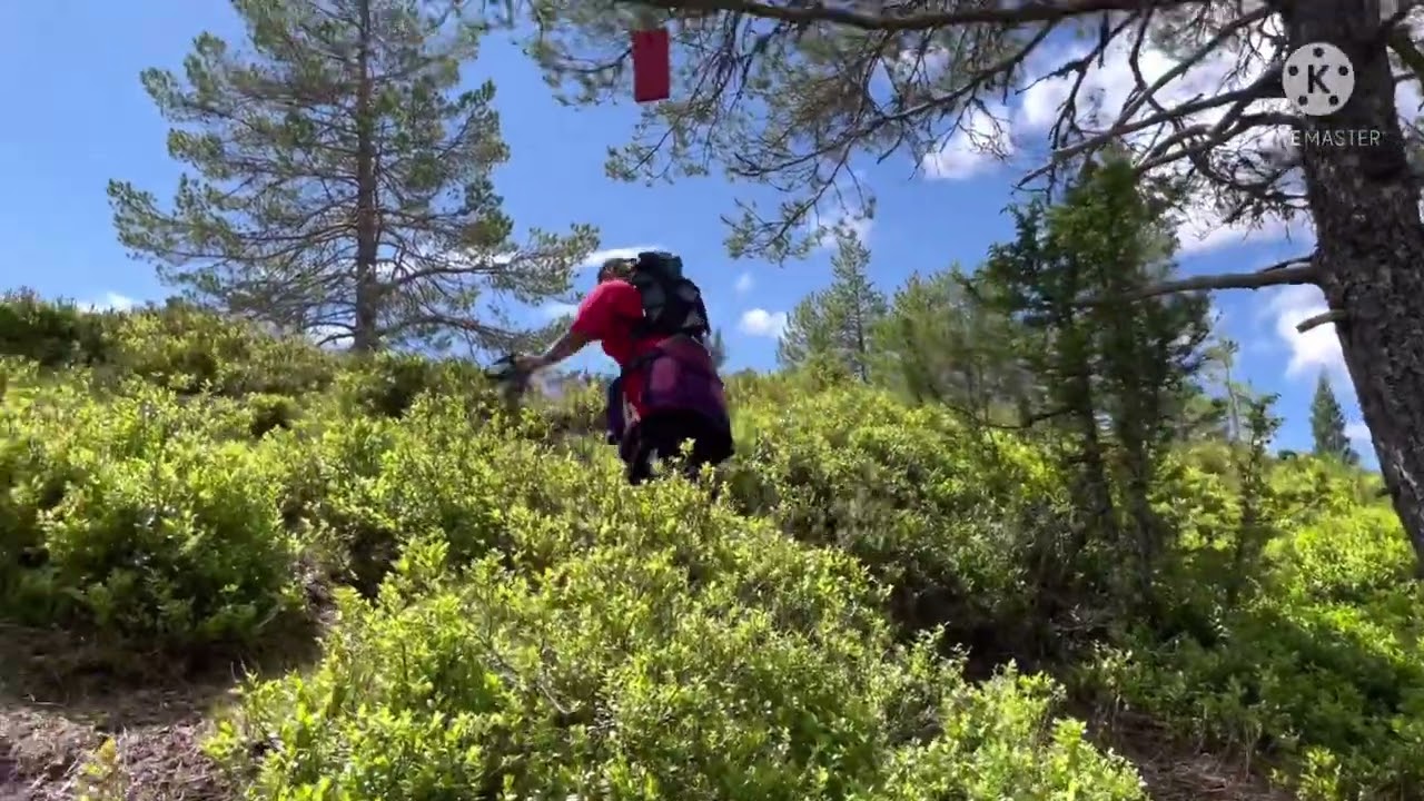 The best place to hike in ålesund with Holten family