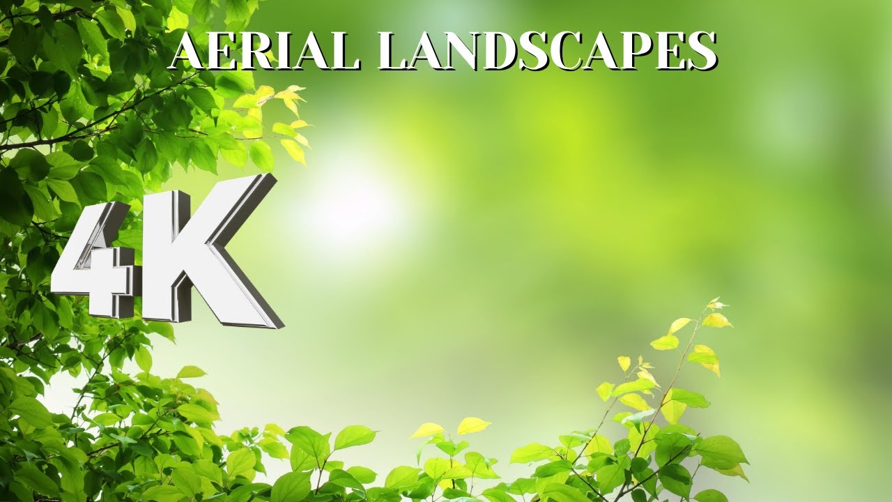 4K Healing Flute Music | Calming & Stress-Relief Melodies for a Peaceful Mind