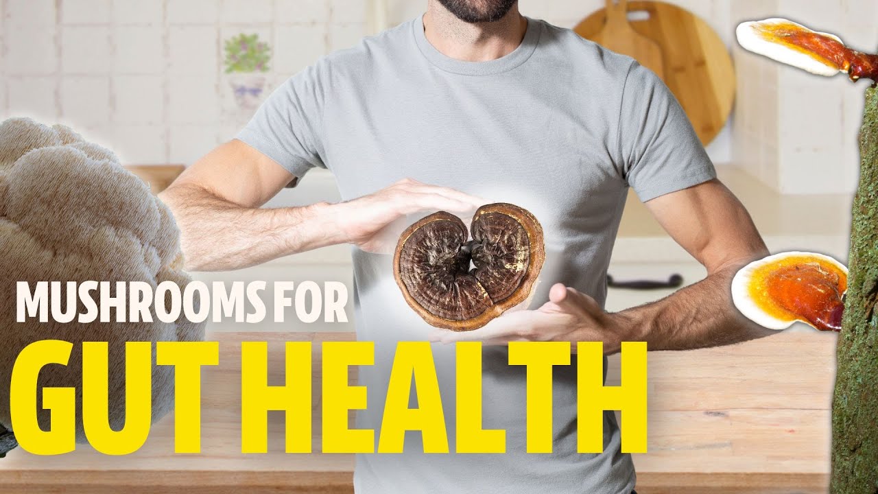 The Gut-Brain Axis: Why Mushrooms Might Benefit our Brains via the GUT