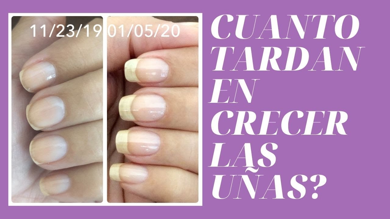Cuanto Tardan En Crecer Las Uñas | Que  Tan Rápido Crecen Las Uñas | Swatches Y Mas | #uñasnaturales