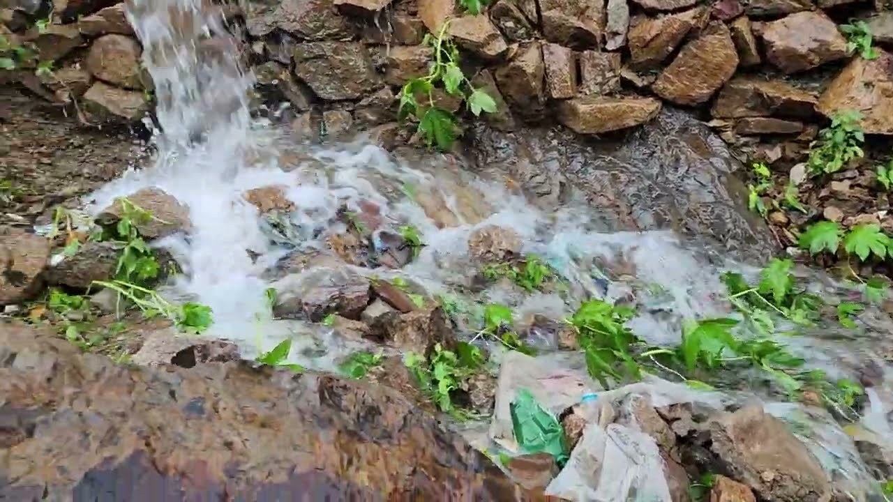 خضرة الأرض وصوت خرير الماء | سحر الطبيعة من ريف اليمن