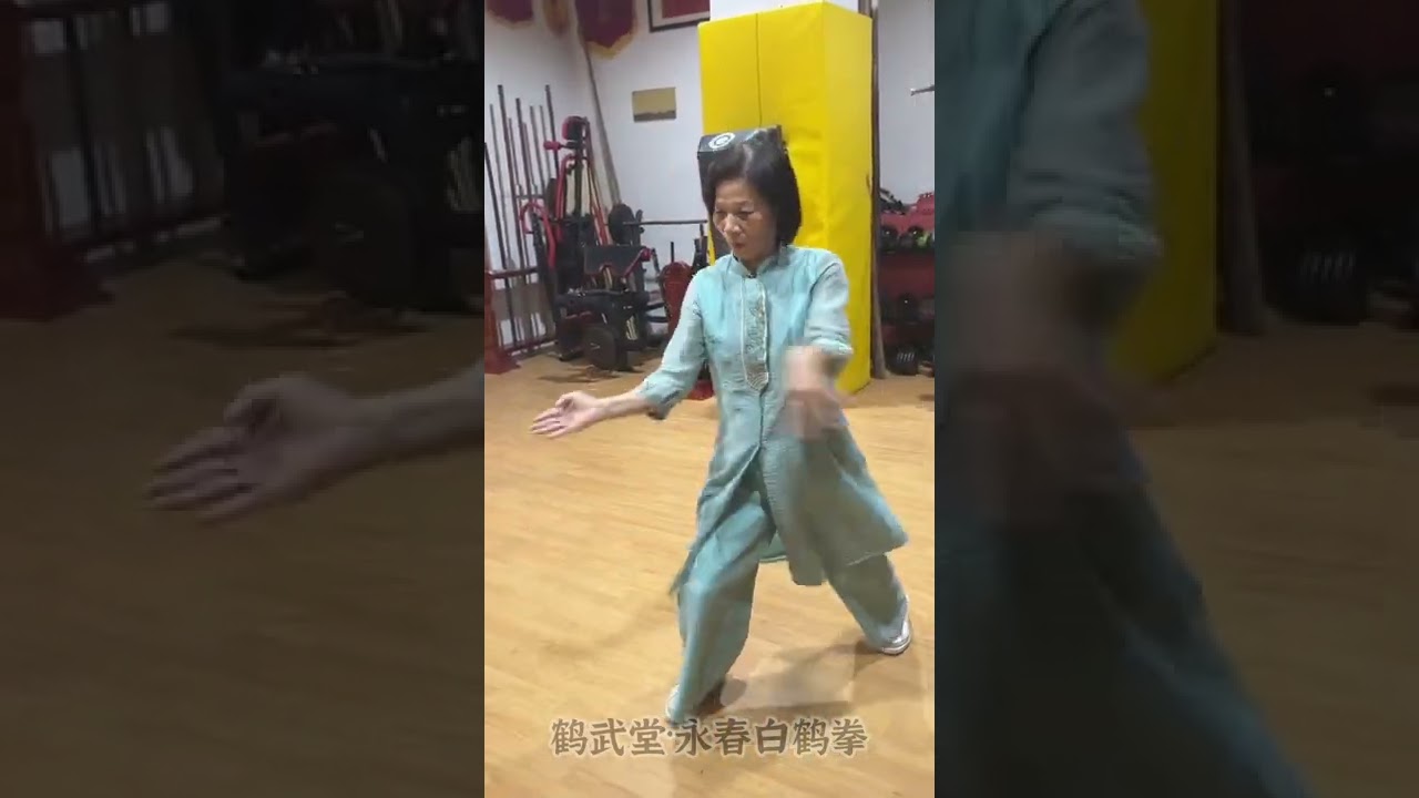 传统武术永春白鹤拳学员展示：十三摇套路