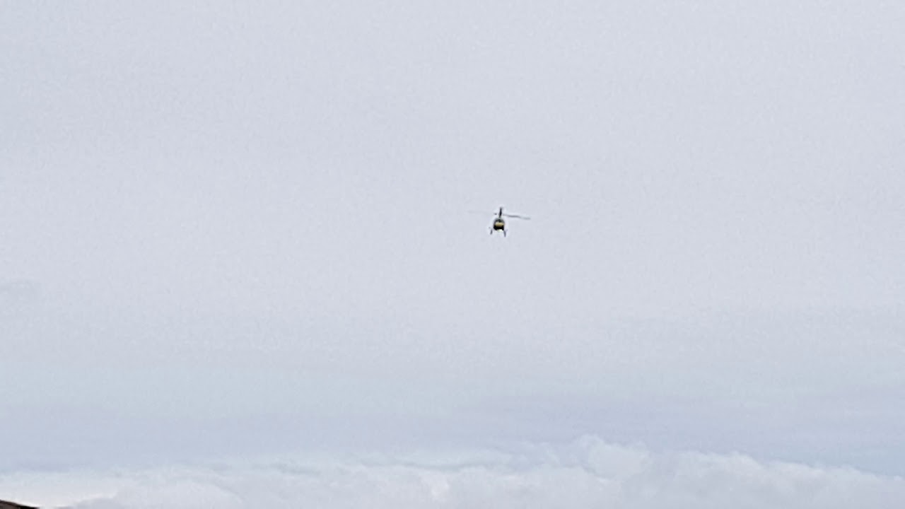 Ostberg c3 wrc sweetlamb #rallying #citroenracing #C3WRC #wrgb #wrc #motorsport