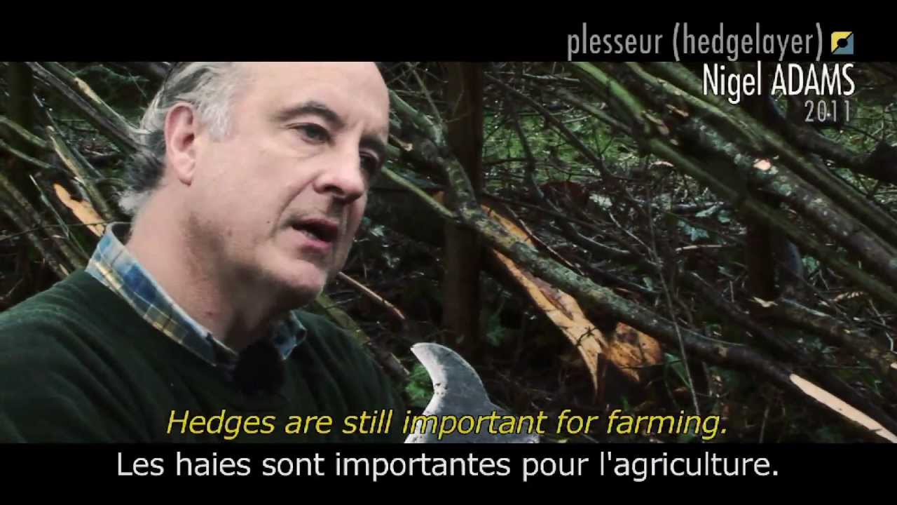 agriculteur_Nigel_adams_UK.mov