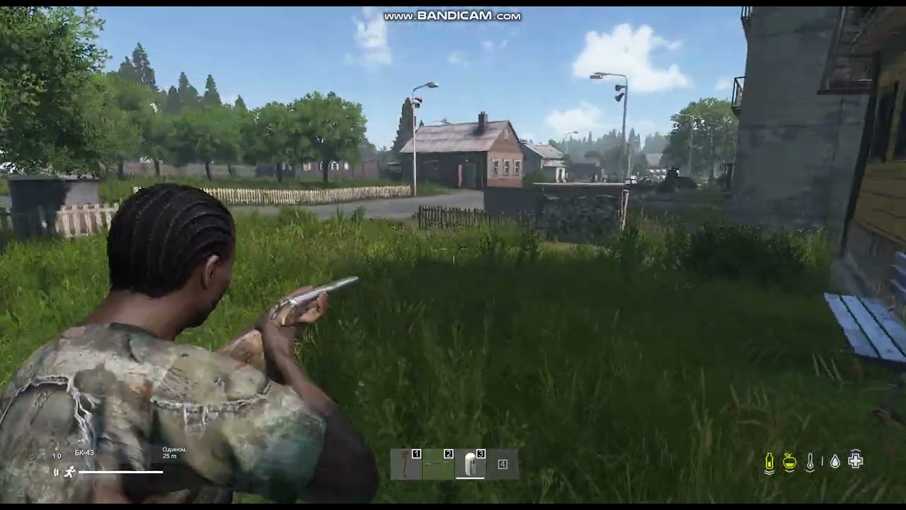 Dayz