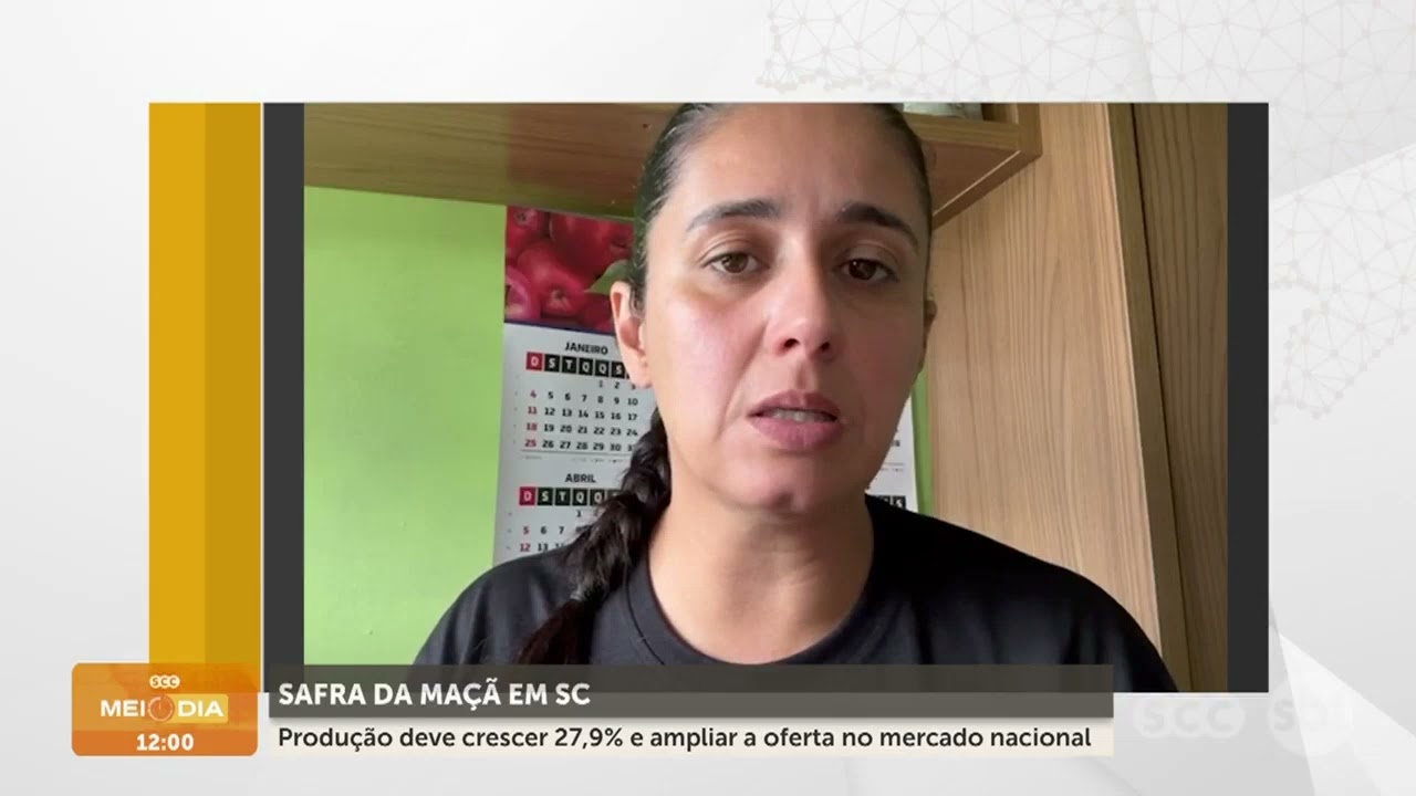Safra da maçã deve crescer quase 28% em SC | Cotidiano | SCC Meio-Dia