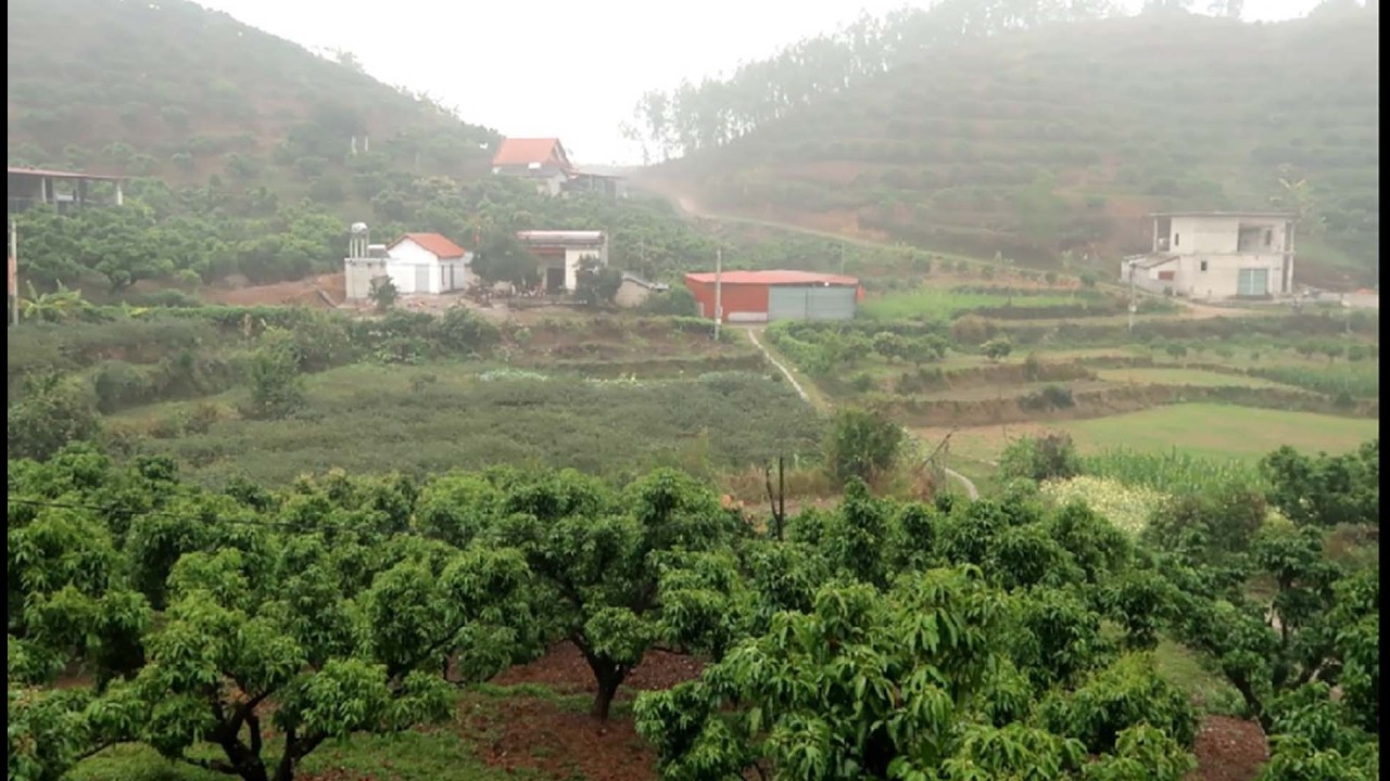 Tân sơn mưa nhiều hơn mùa hè rồi