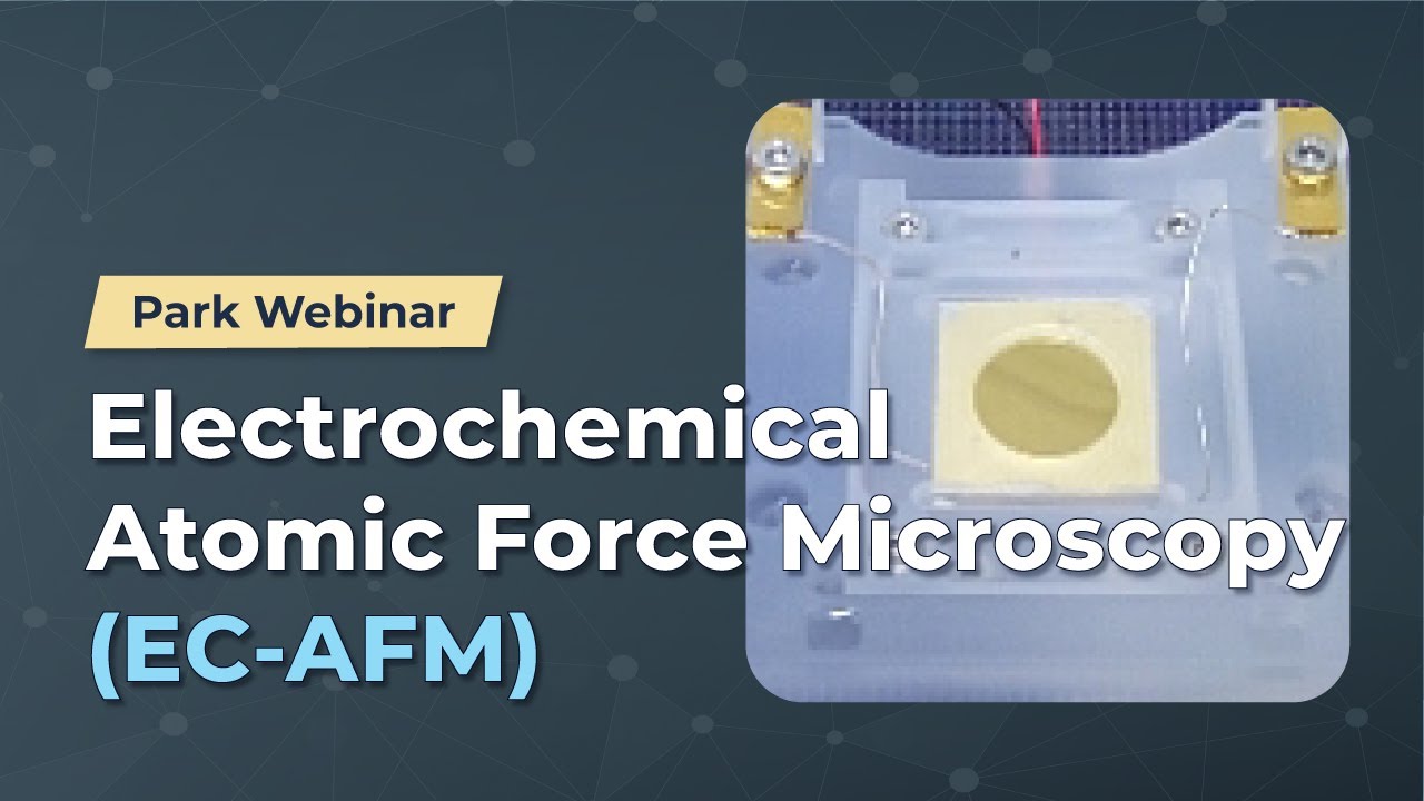 Electrochemical Atomic Force Microscopy (EC-AFM) | Park Webinar series