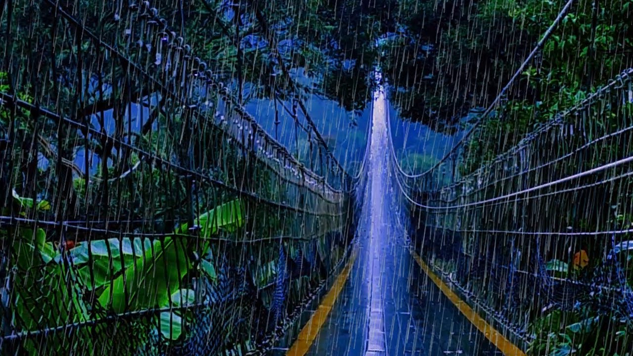 Gentle Rain for Anxiety & Stress Relief | Calming Water Sounds (No Thunder)