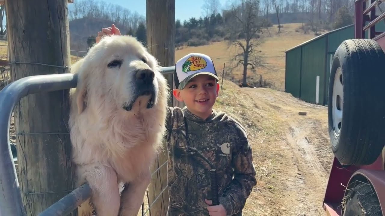 Welcome to Hickory Springs Farm!