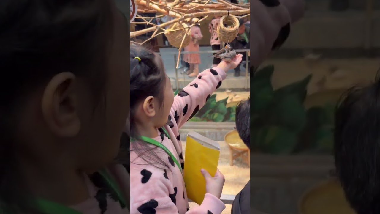 동물먹이체험🦜🐍🐒🦈🐢