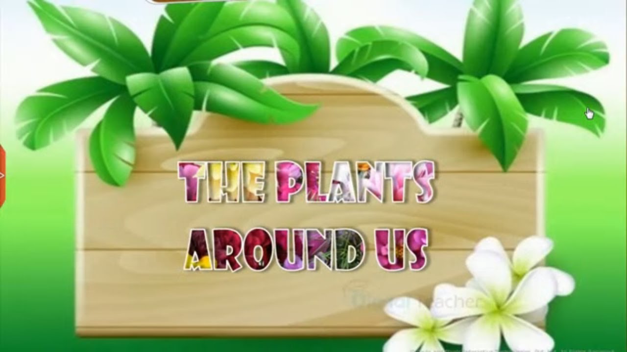 The Plants Around Us, Class 4 Environmental Science | Digital Teacher
