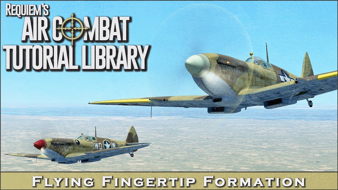 Two Ship Formation #1 - Introduction with Fingertip