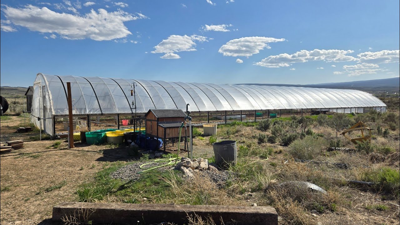 How I Water My 100 Foot Greenhouse