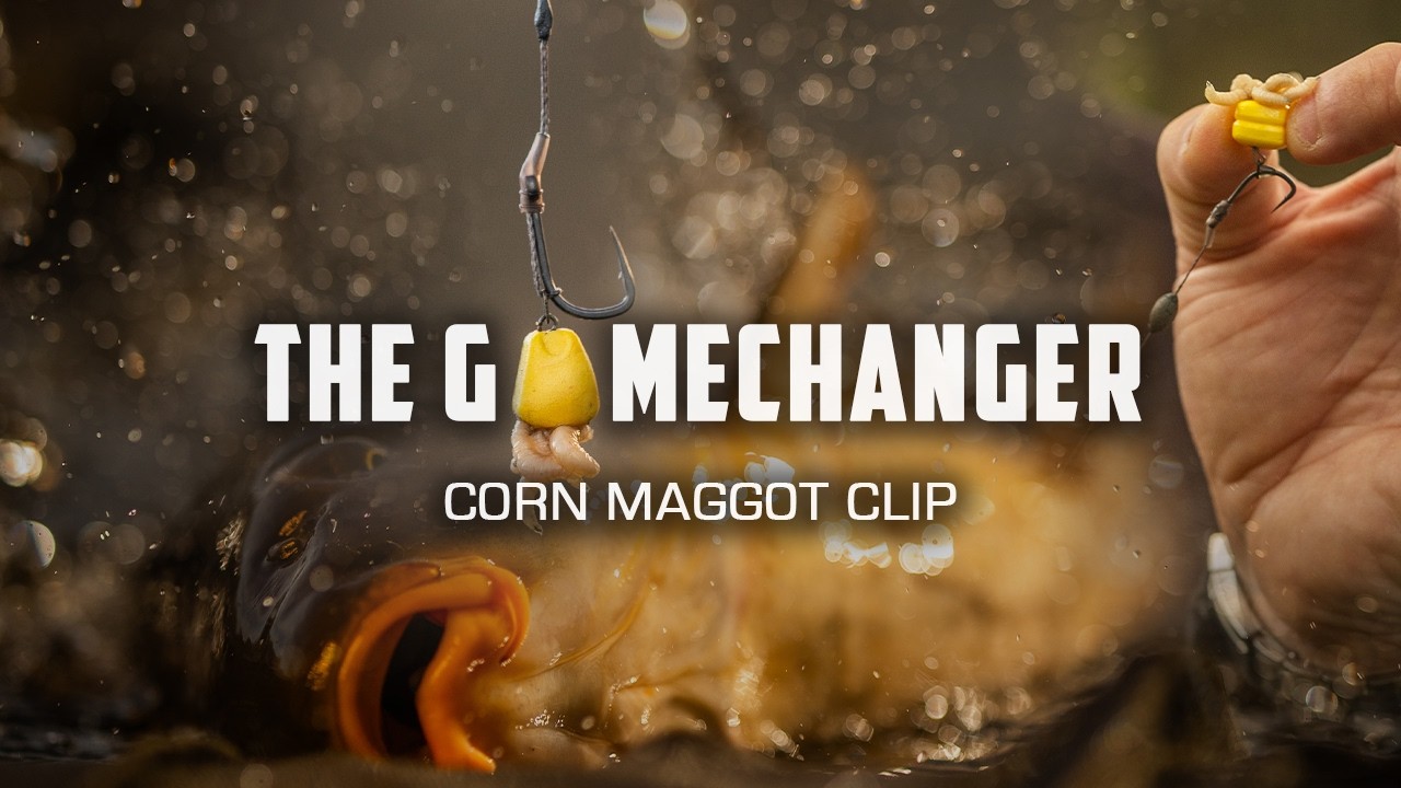 THE GAMECHANGER | CORN MAGGOT CLIP🌽