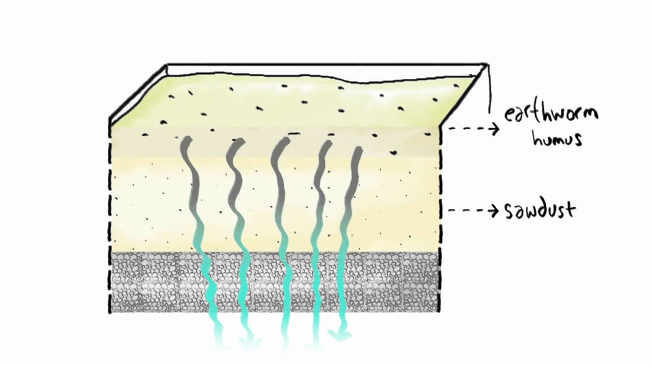 BioFiltro Sustainable Wastewater Treatment Technology - Description