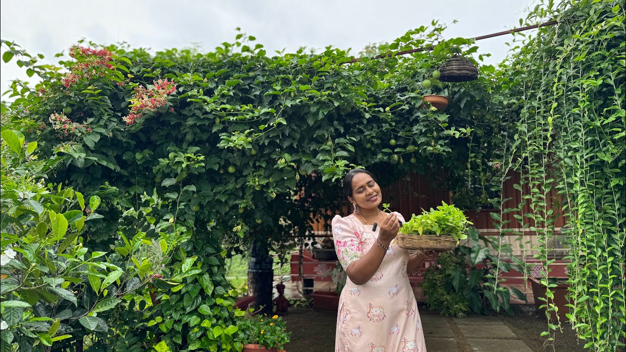 When you look at the farm after it rains...it feels like heaven on earth...will you see?