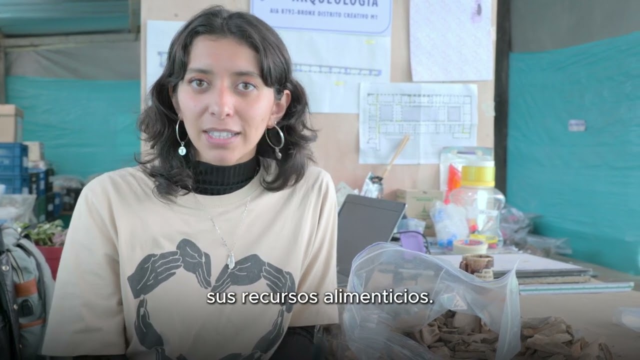 Arqueología en el Bronx Distrito Creativo | ICANH 2025