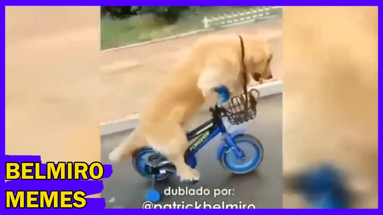 Belmiro Memes: Melhores dublagens do ano parte 7