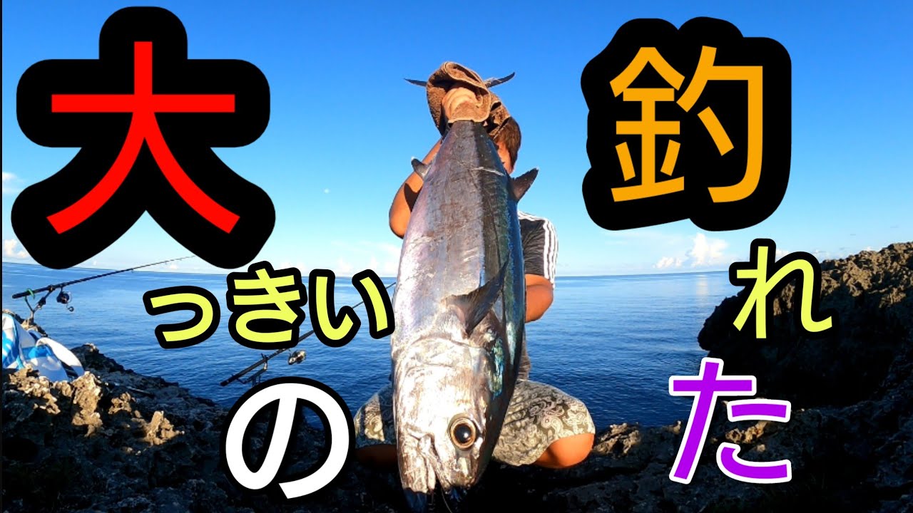 VS南海巨大魚