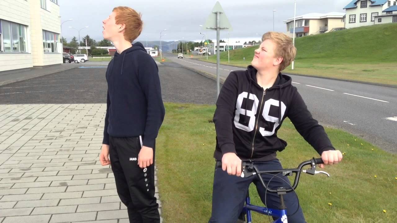Gaurinn Í Blokkinni
