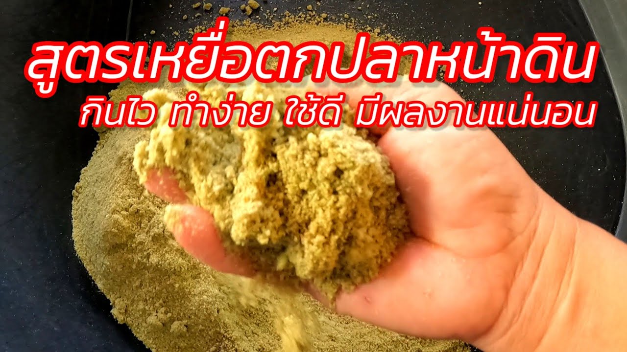 สูตรเหยื่อตกปลาหน้าดิน ทำง่ายได้ผลงานแน่นอน