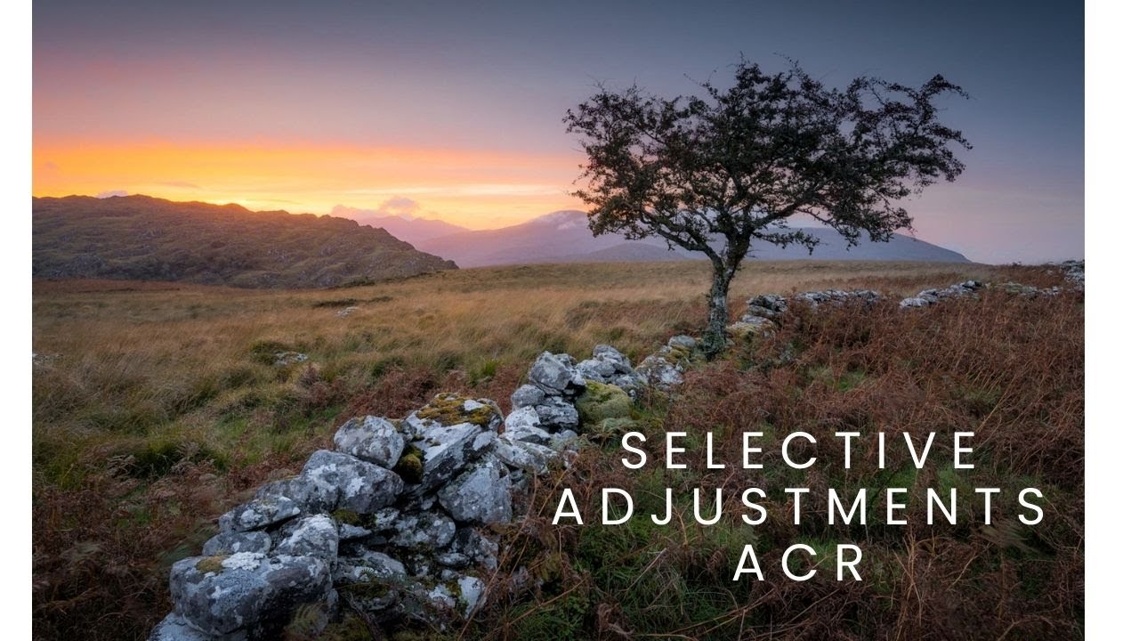 Colour Grading and Selective Adjustments in Adobe Camera Raw