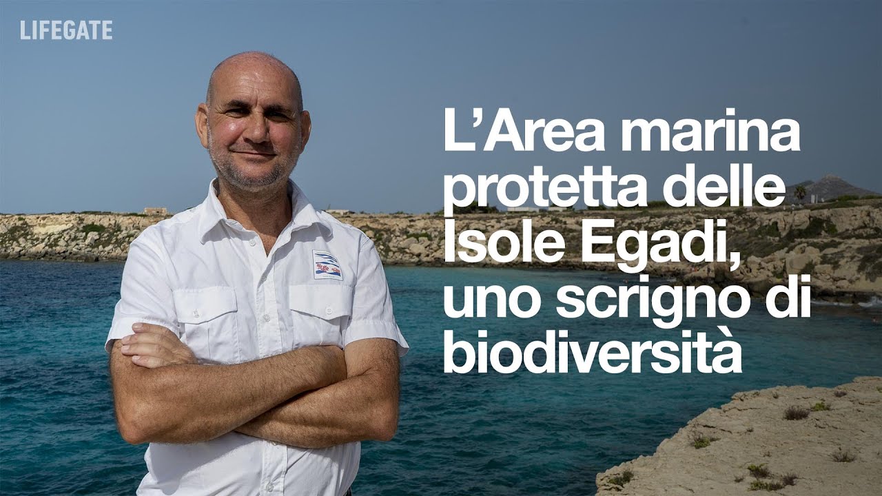 L&rsquo;Area marina protetta delle Isole Egadi, uno scrigno di biodiversit&agrave;