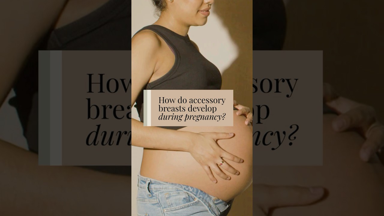 How do accessory breasts develop during pregnancy