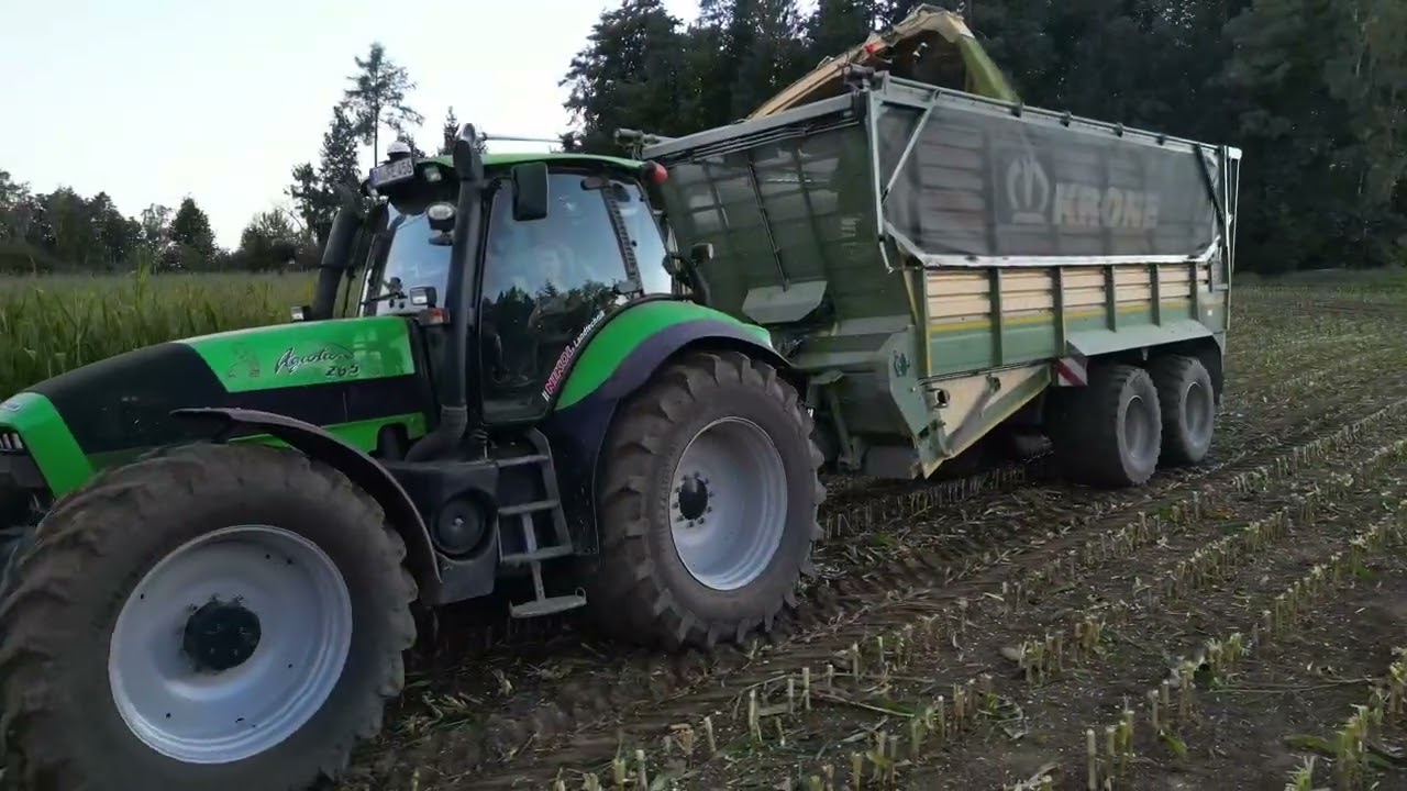 Maishäckseln bei der Kunzelmann GbR