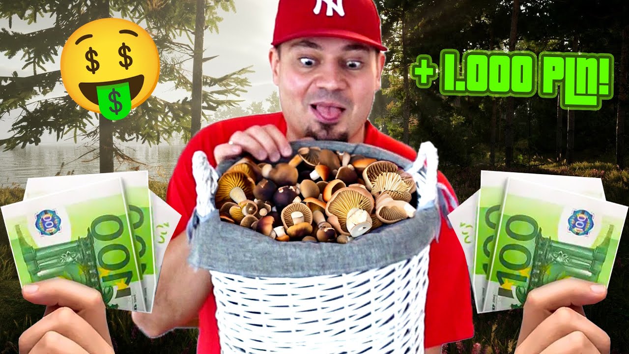 🍄 ZAROBIŁEM 1000 ZŁOTYCH NA GRZYBACH! *jestem bogata* | Mushroom Season #03