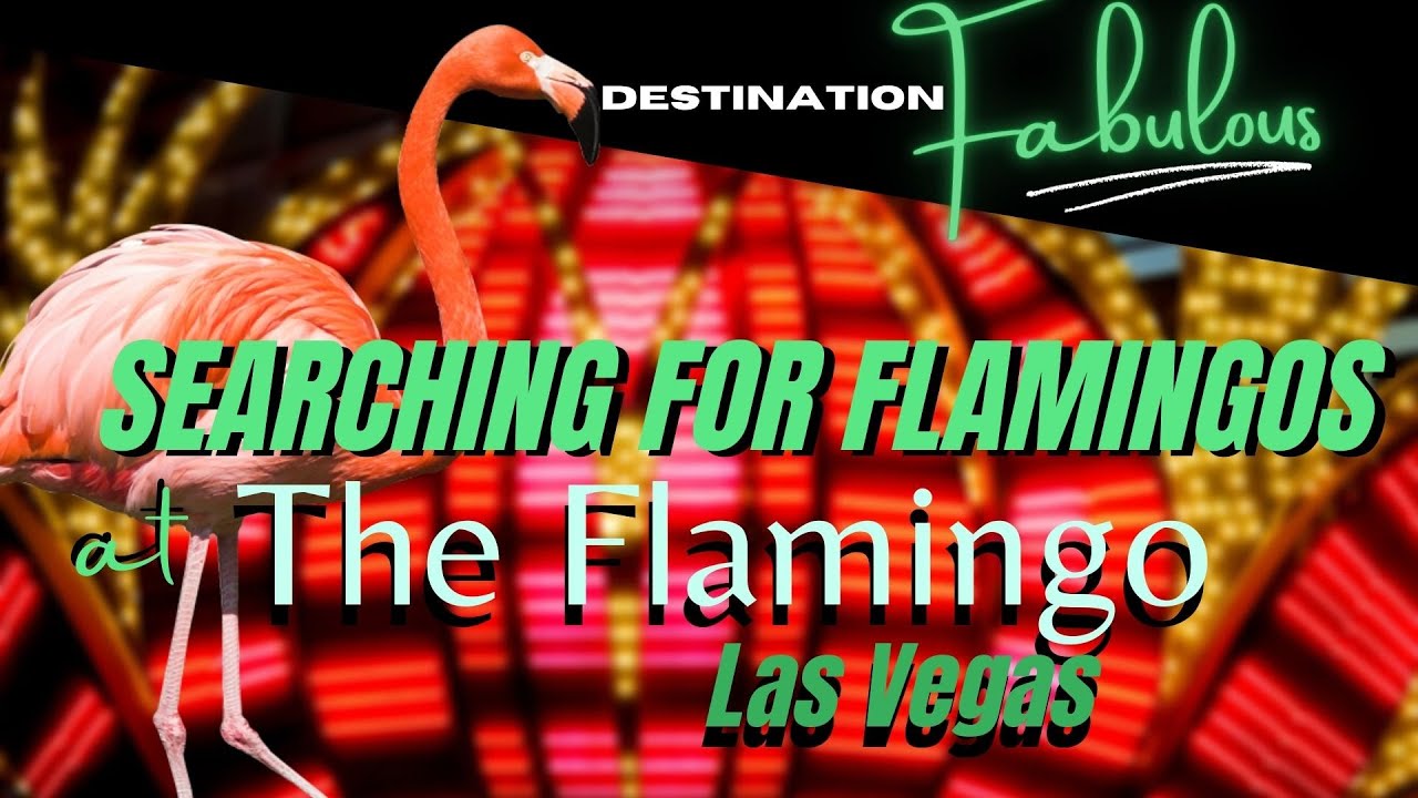 Flamingo Resort and Casino & Maxie's Las Vegas Review