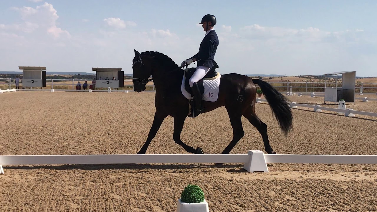 Pampero FS - Campeón Preliminar 4 años CDN3 Zamora