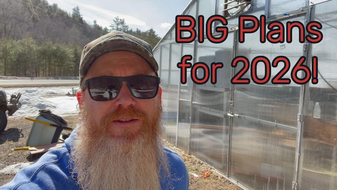 Seed Planting, Greenhouses, and BIG Spring Projects