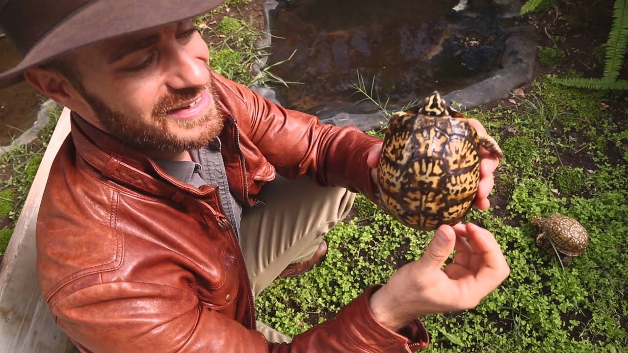 Удивительная теплица для рептилий от Zoo Med! Камп Кенан С3, серия 27