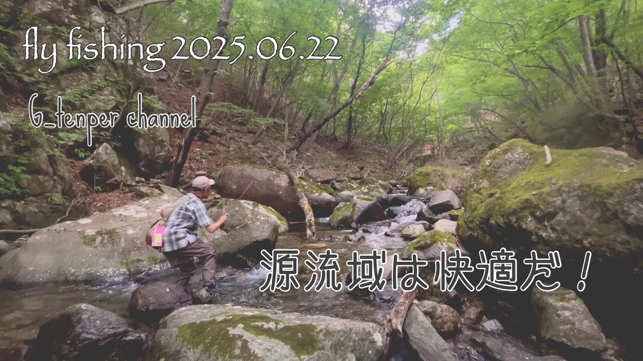 フライフィッシング[神子内川源流]2025.06.22