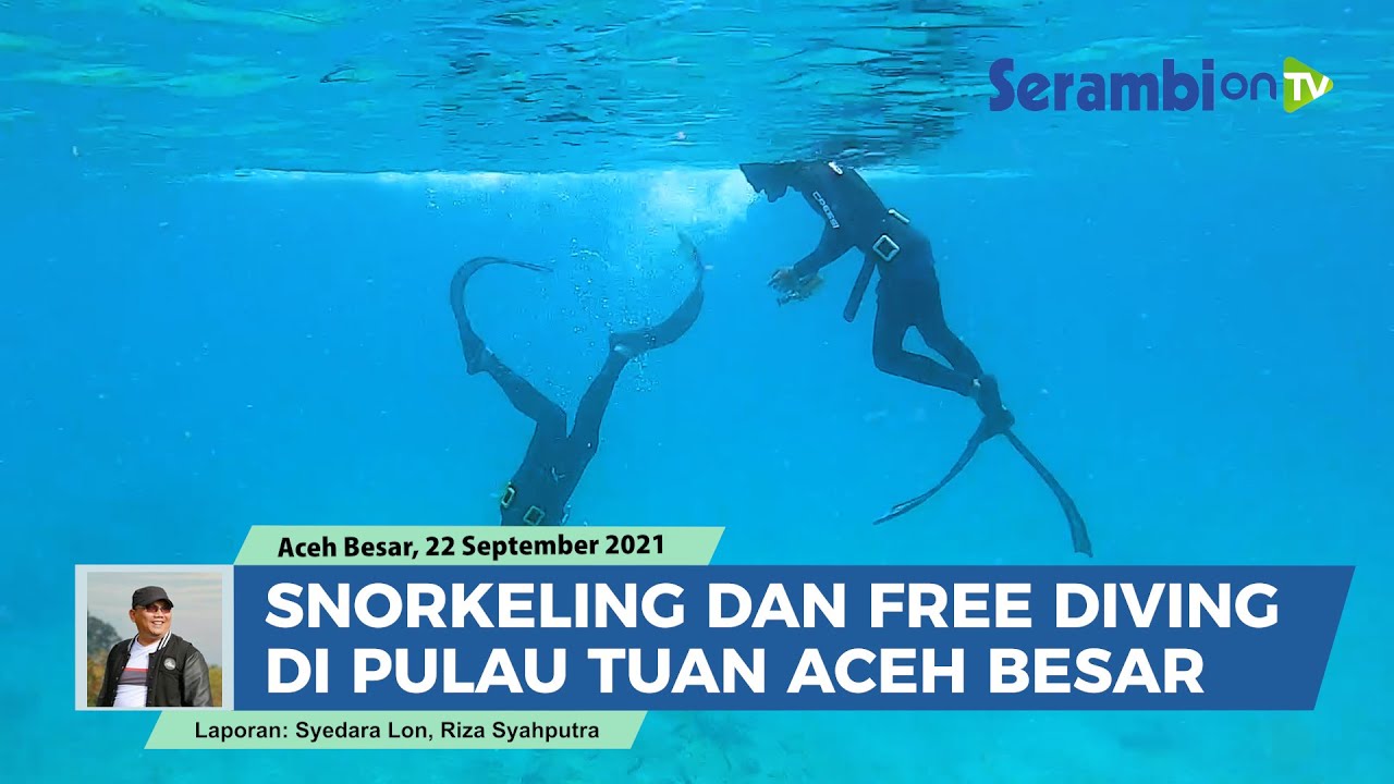 Wisata Bawah Laut di Pulau Tuan Aceh Besar, Melihat Langsung Ubur-ubur dan Ikan Cantik
