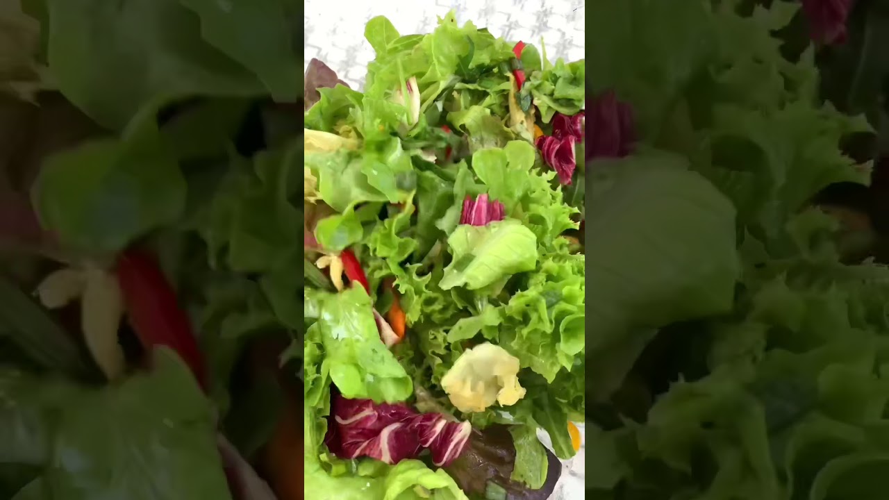 Satisfying Vegetable Salad | Fresh from the Garden