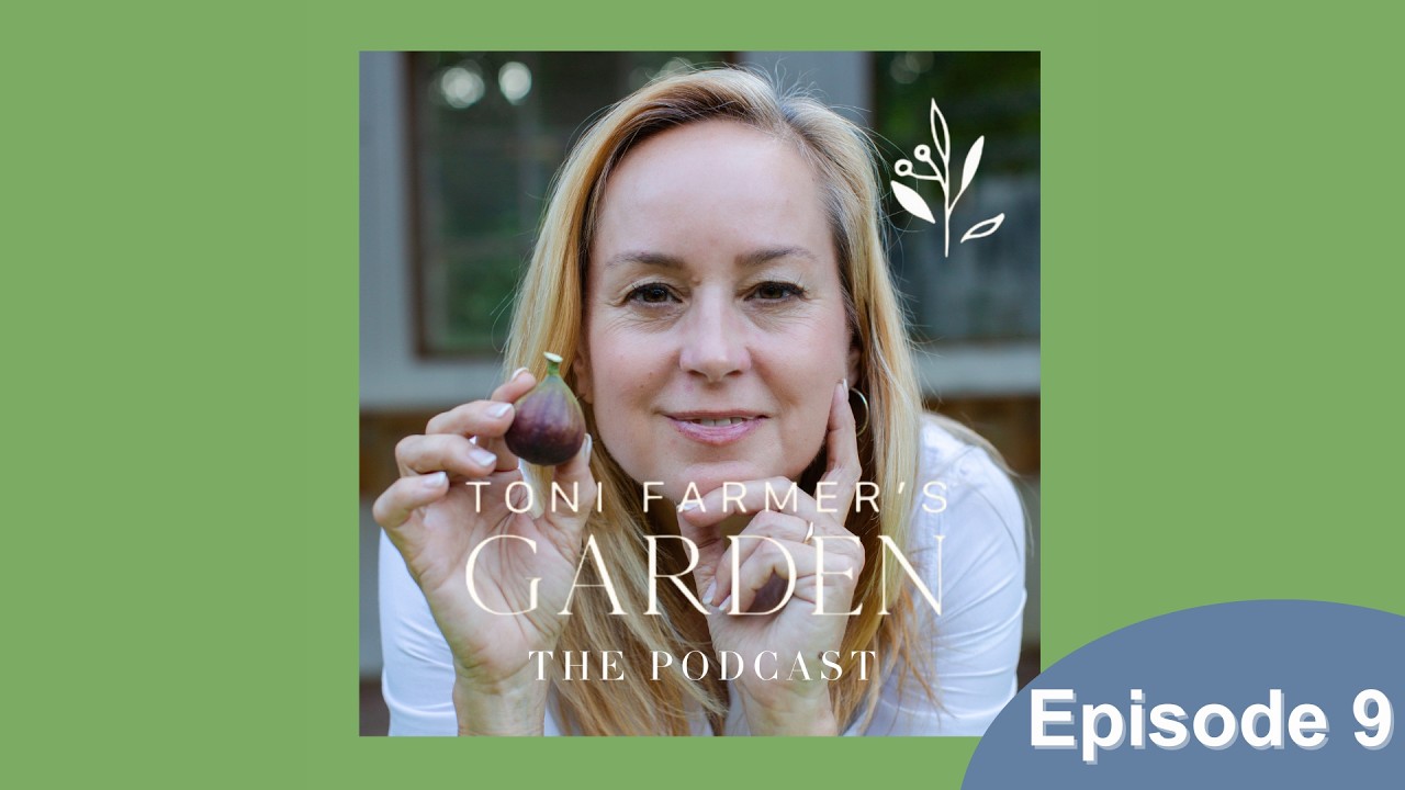 Why your fertilizer isn't helping your home garden